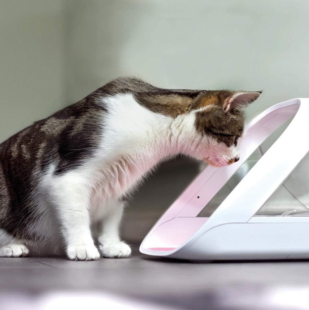 2026 Sure PetCare | Distributeur de Nourriture Connect à Puce électronique SureFeed, Compatible avec Les médaillons d'identification par radiofréquence, contrôle par Application Mobile, Blanc