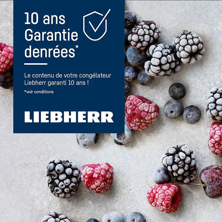 2026 Congélateur top LIEBHERR FNdi1624