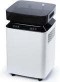 2026 Deumidificatore Industriale Professionale Elettrico: 80L/24h per Grandi Ambienti 170㎡Pompa Scarico Continuo Antimuffa Portatile con Ruote per Casa/Bagno/Ufficio/Garage/Cantina/Stanza/Armadio