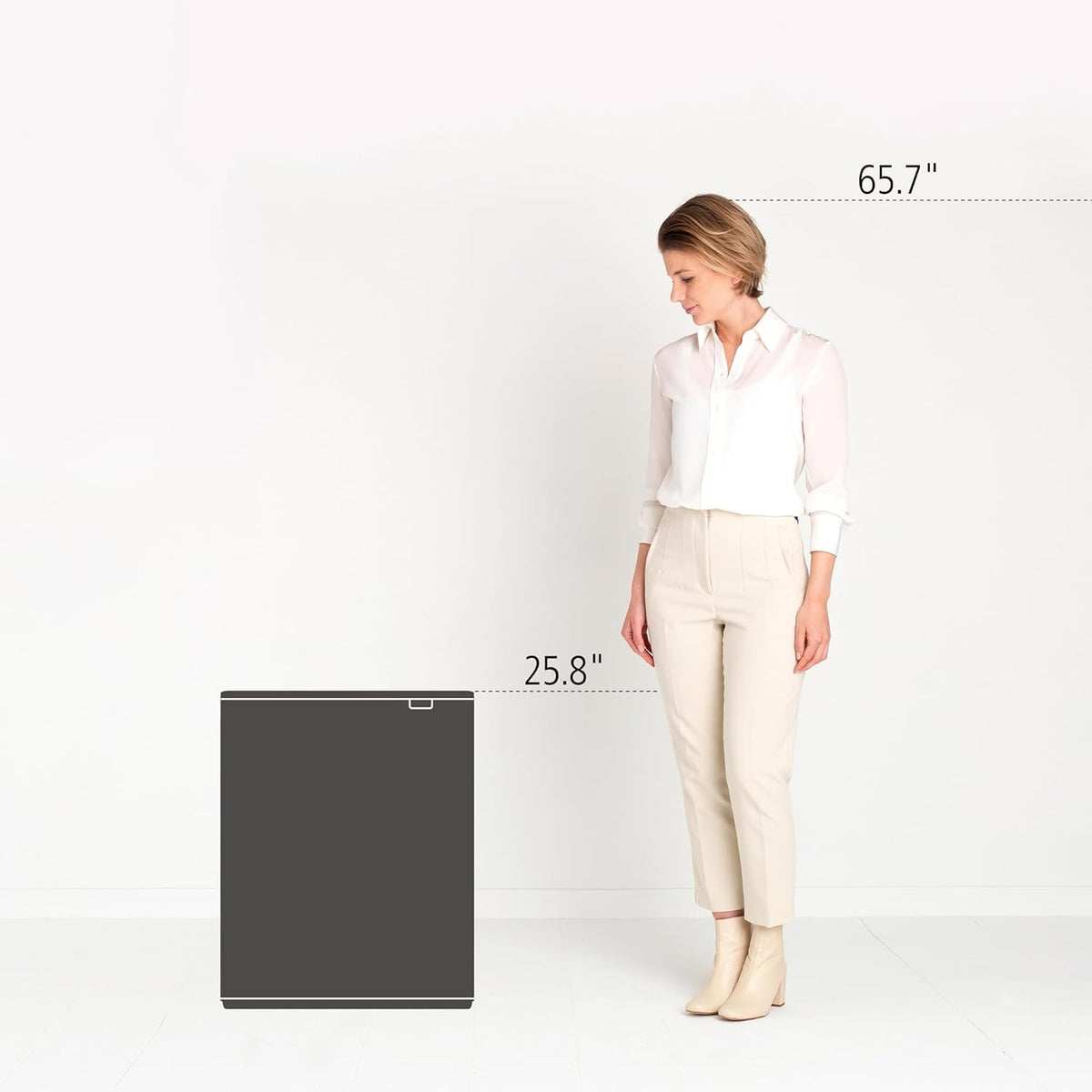 2026 Poubelle Brabantia, acier mat, anti-traces de doigts, 2 x 30 L