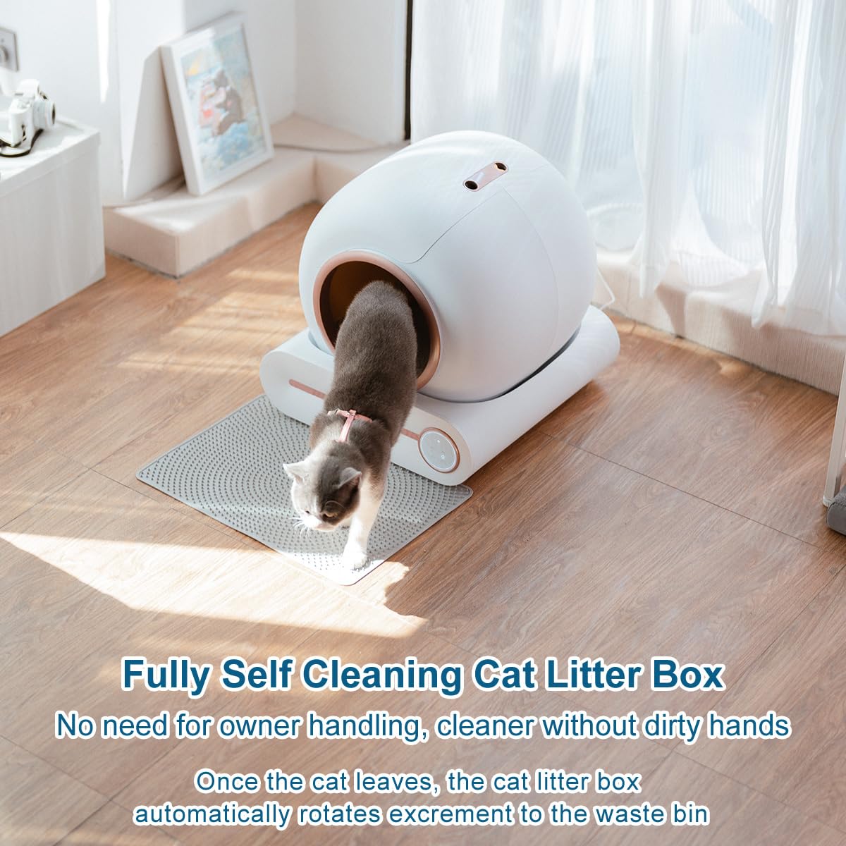 2026 Megonia Litière Autonettoyante Chat Automatique: 2.4GHz WiFi Con App Contrôle à Distance 65L Grande Capacité Anti-Pincement/Fuites/Odeur pour Famille
