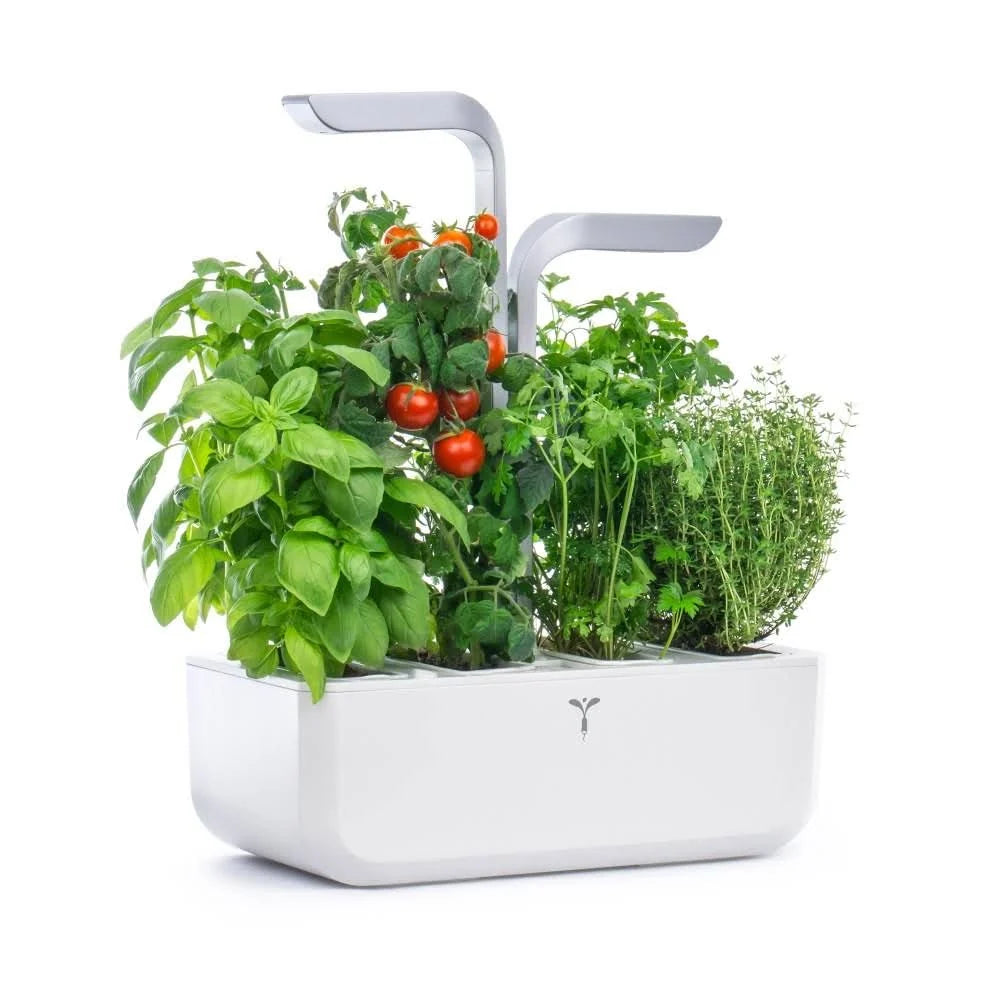 2026 Potager d'intérieur autonome Véritable SMART Arctic White 4 plantes Made in France(Blanc)